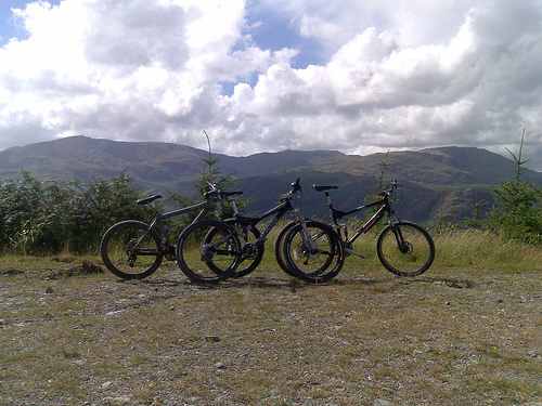 grizedale mountain biking