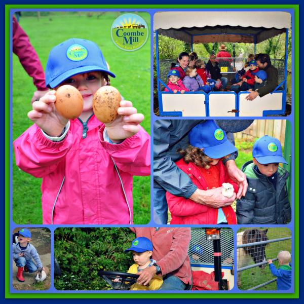 log cabin farm holidays