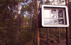 tree hotel exterior