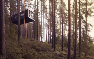 treehouses sweeden