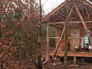 eco friendly log cabins