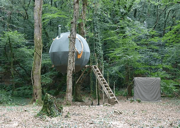 tree house cornwall