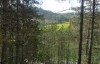 woodland cabin in dordogne