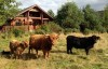 Big Sky lodges in scotland