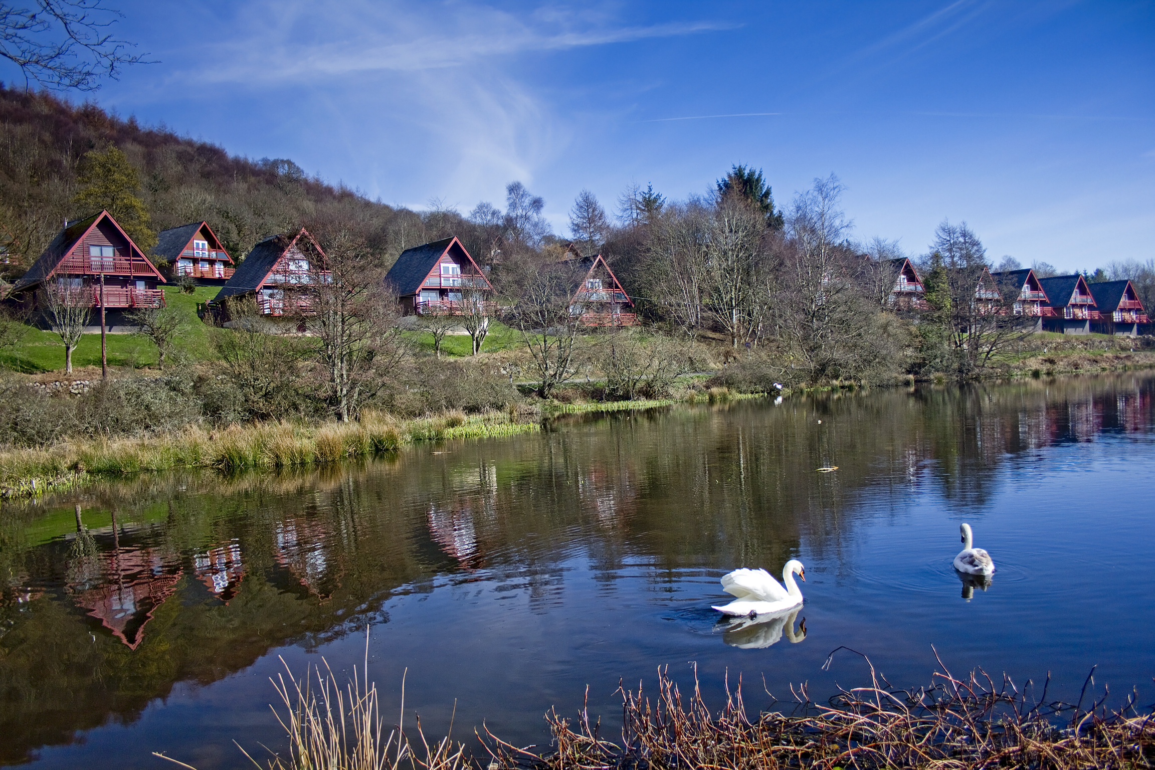 scotland log cabins