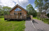 woodland cabin silver birch