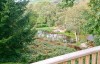 view from maples lodge