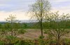 northumberland cabins view