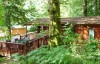 yew tree lodge windermere