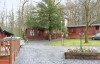 yew tree log cabin