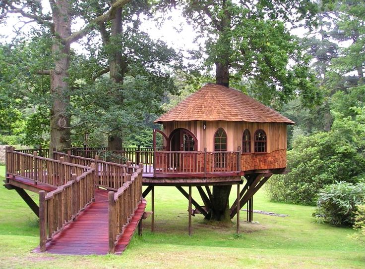 treehouse cool cabins