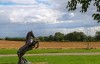 cornfield lodge northallerton view