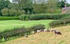 Oak lodge shropshire outside