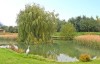 ash tree lodge york lake