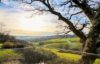 little spinney lodge dorset view