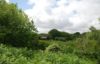 Sylvan View Fowey South Cornwall grounds