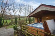 ivy leaf combe lodges