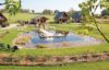 Oasis Lodge Pond Jetty