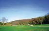 Parmontley Hall Lodges setting